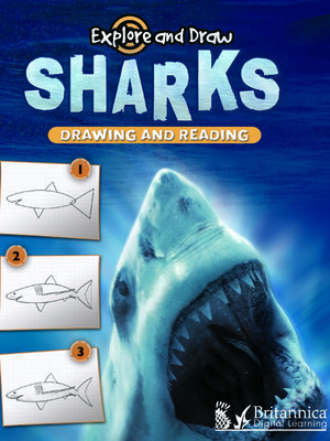 cover image of Sharks